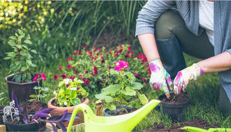 Gardening Products