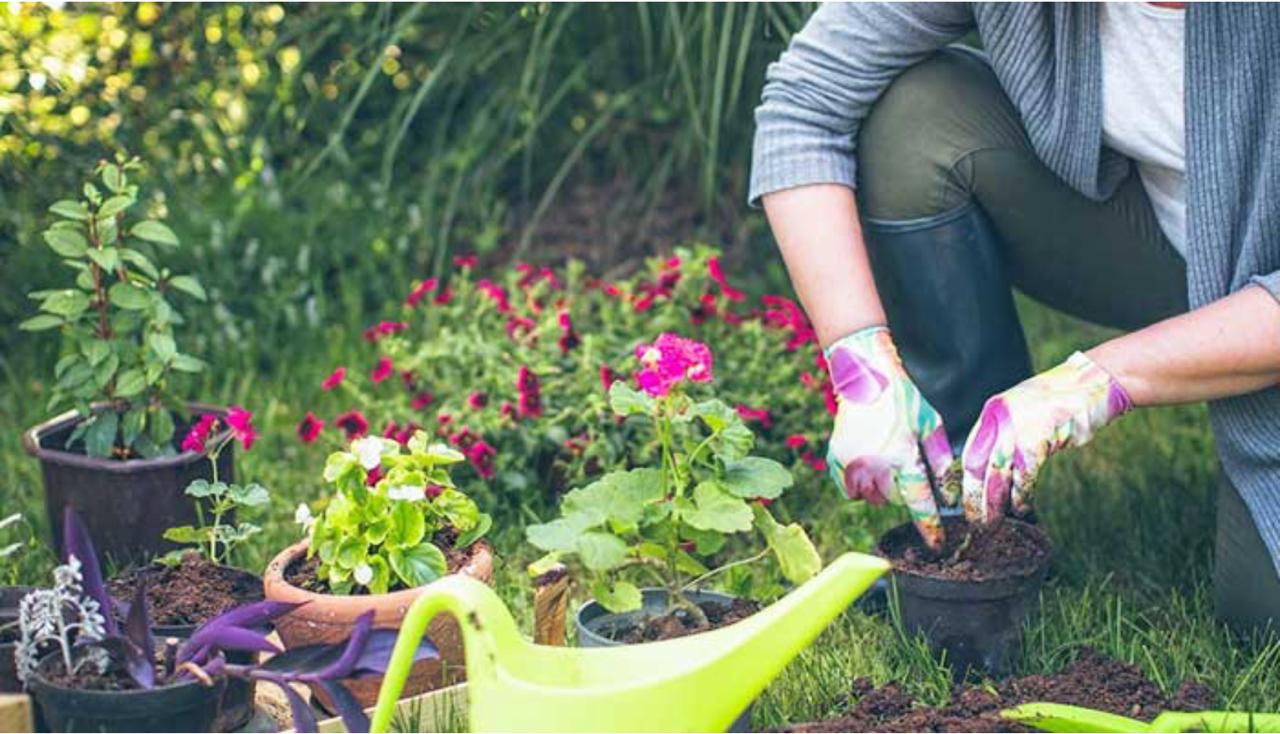 Gardening Products